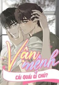 van-menh-cai-quai-gi-chu.jpg