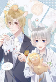 Eat a Rabbit in One Bite 1 44785ecefda5af4dac10352f1c216a1c9ea3aaff_270_360_45461.jpeg