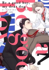 Be a Good Boy, My Dear Dog 1 e5c7a62b294fede53ef23ac5de380507298c90e2_600_852_87542.webp